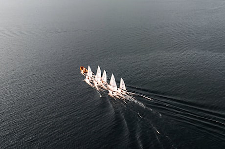 万胜赛鸽公棚(万胜赛鸽公棚:赛鸽爱好者的理想天堂)