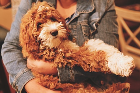 好看的闺蜜壁纸(好看的闺蜜壁纸,让你们的友情更加美丽)