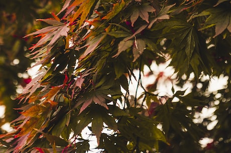 好看的闺蜜壁纸(好看的闺蜜壁纸，让你们的友情更加美丽)