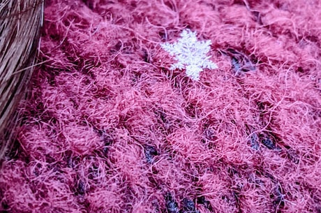 雪花那个飘(怀旧歌曲《雪花那个飘》究竟讲述了怎样的情感故事?)