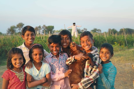 四时田园杂兴(其二十五)(四时田园杂兴(其二十五)：霜降)