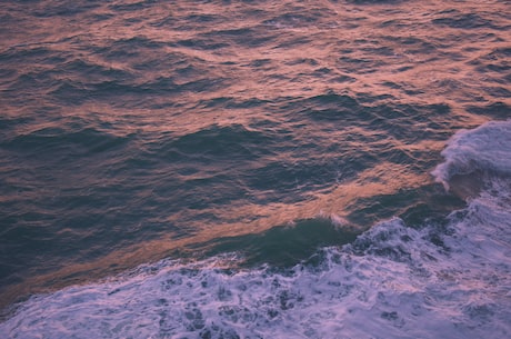 深海(深海蕴藏着巨大的宝藏)