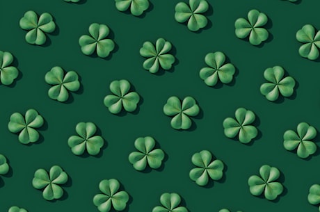 福星闯江湖(福星闯江湖,带你见识真正的江湖)