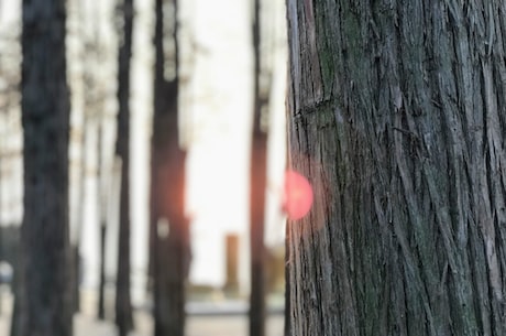江汉大学教务管理系统(江汉大学教务管理系统：科技助力提升教务管理效率)