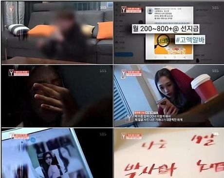 韩国N号案，韩国N号案引爆网络舆论