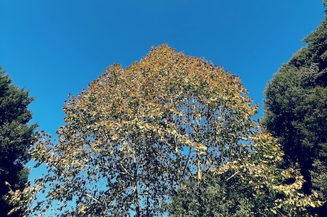 空空导弹研究院(空空导弹研究院:打造中国航天事业中坚力量)
