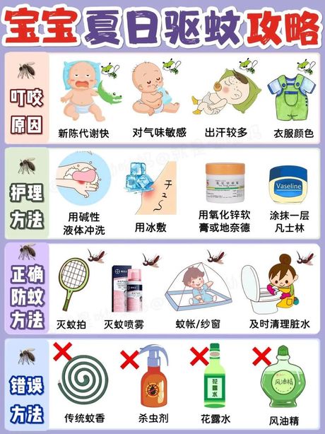 防蚊虫攻略：夏日出行不被蚊虫叮咬