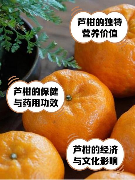 芦柑上火吗，专家称芦柑富含维生素C可清热解毒，但过多食用也会上火