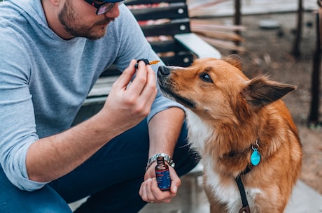 小信诚则大信立表达的意思是什么(小信诚则大信立表达的意思是什么)