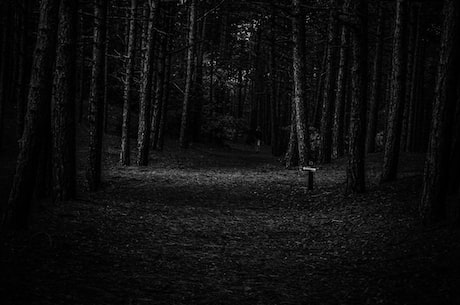 黑色图片(惊艳黑白视觉：探秘黑色背景下的艺术之美)