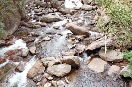 茶山竹海(探寻中国茶山竹海的奥秘)