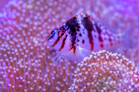 兰州极地海洋世界(兰州极地海洋世界:让你近距离接触北极海洋动物)