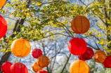 中国电影(中国电影：从传统到现代)