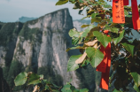 永定土楼旅游攻略(永定土楼旅游攻略，让你深度了解这座土楼小镇)